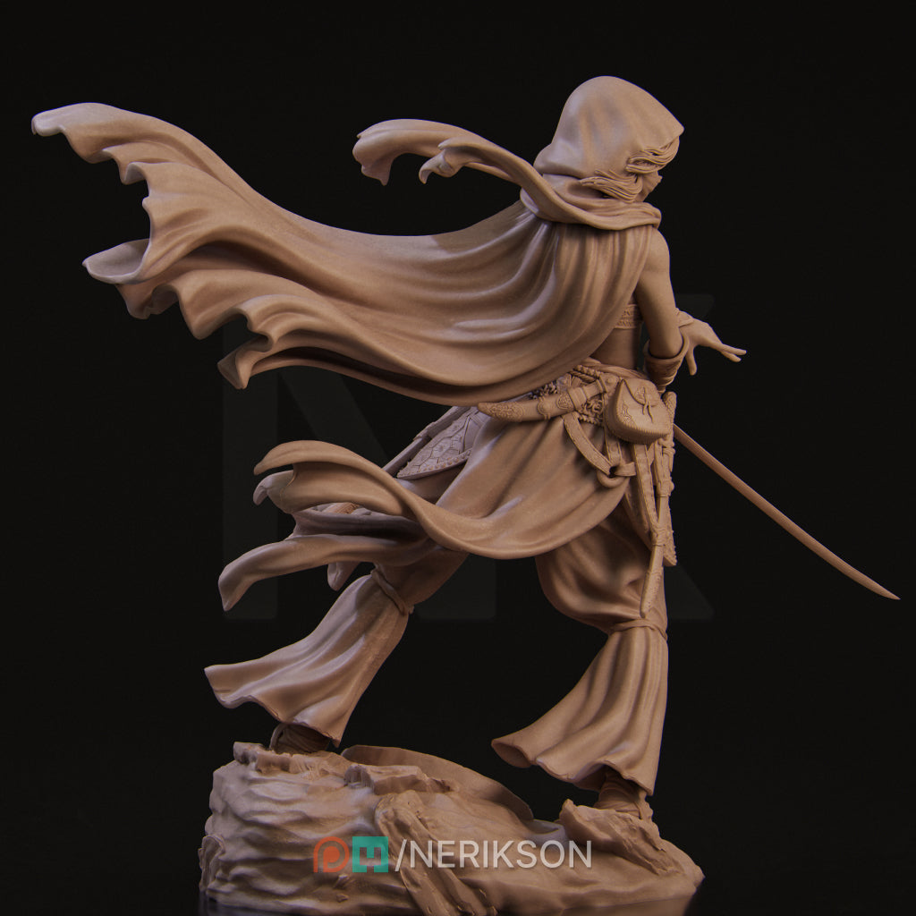 Warrior of the Sands
