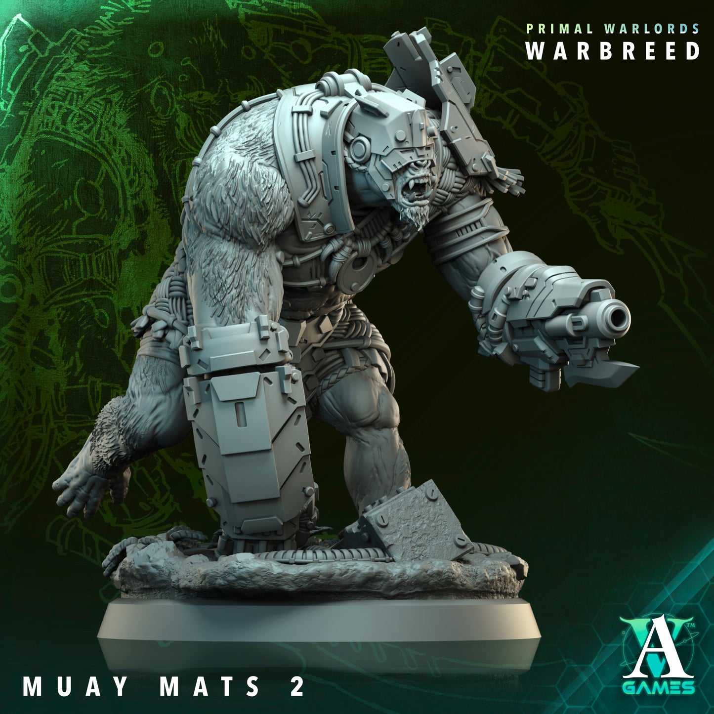Muay Mats