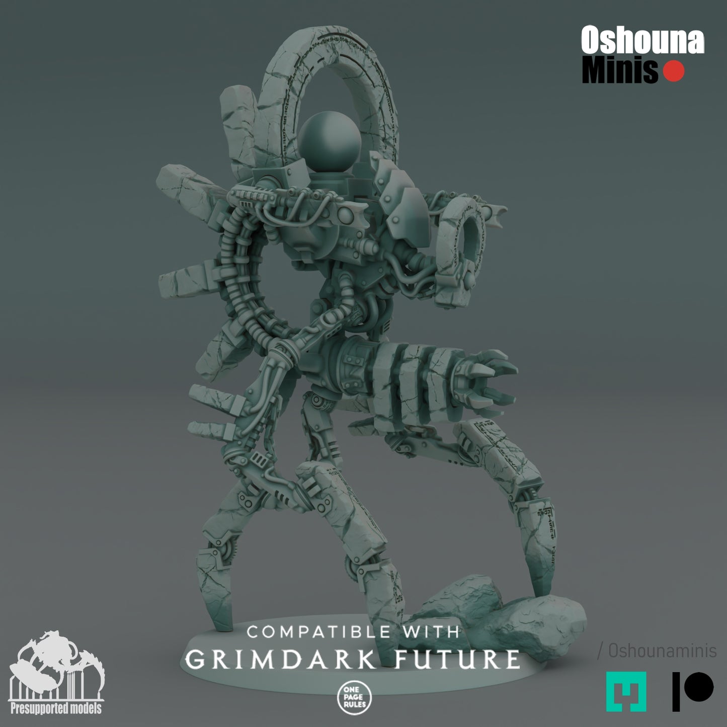Primordial Walker