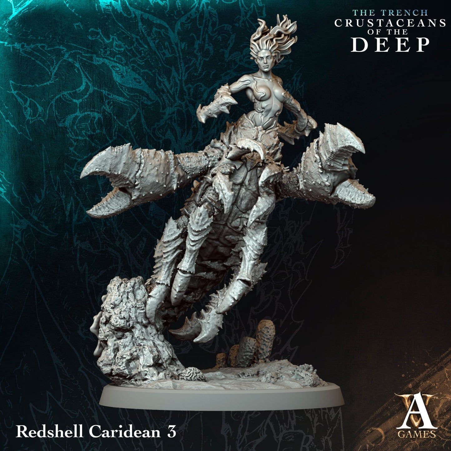 Redshell Caridean