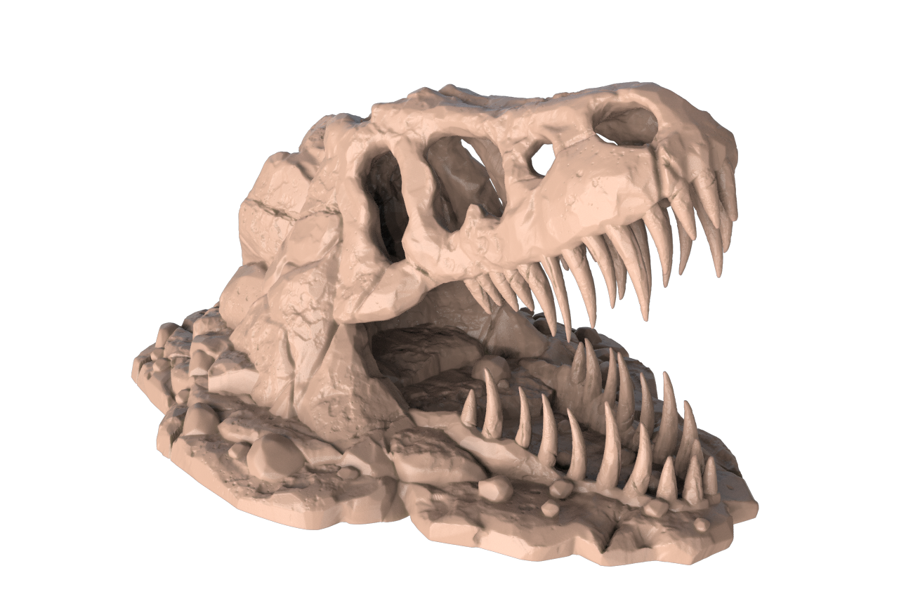 Aztec Fossil Rock