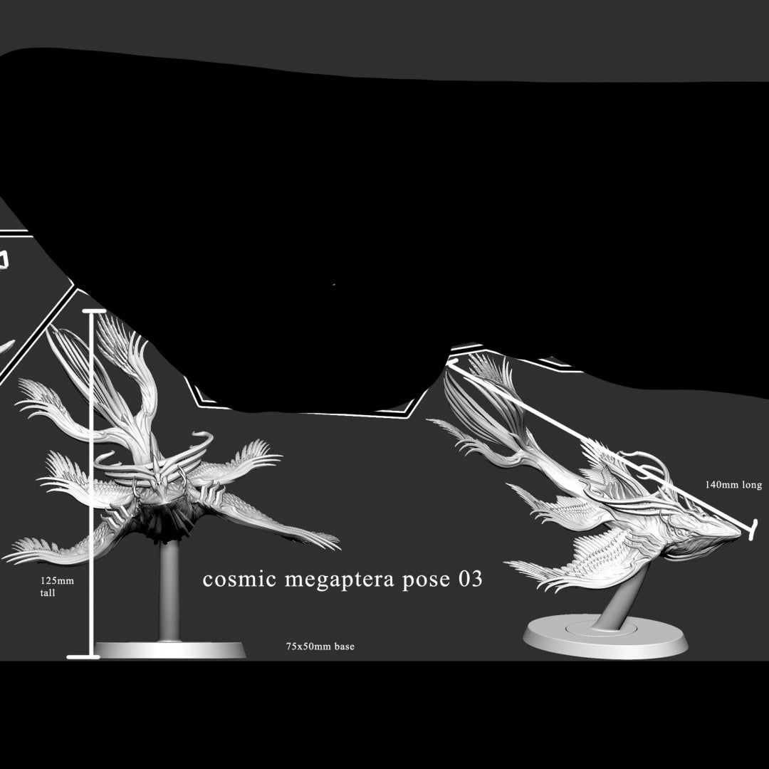 Cosmic Megaptera
