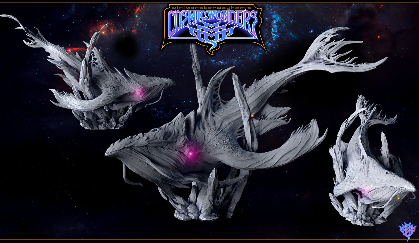 Cosmic Megaptera