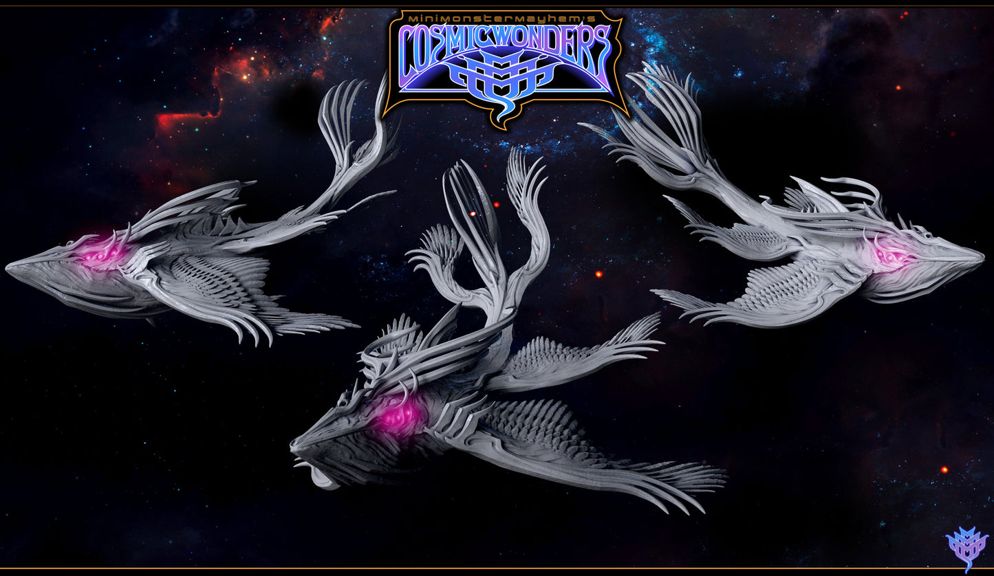 Cosmic Megaptera