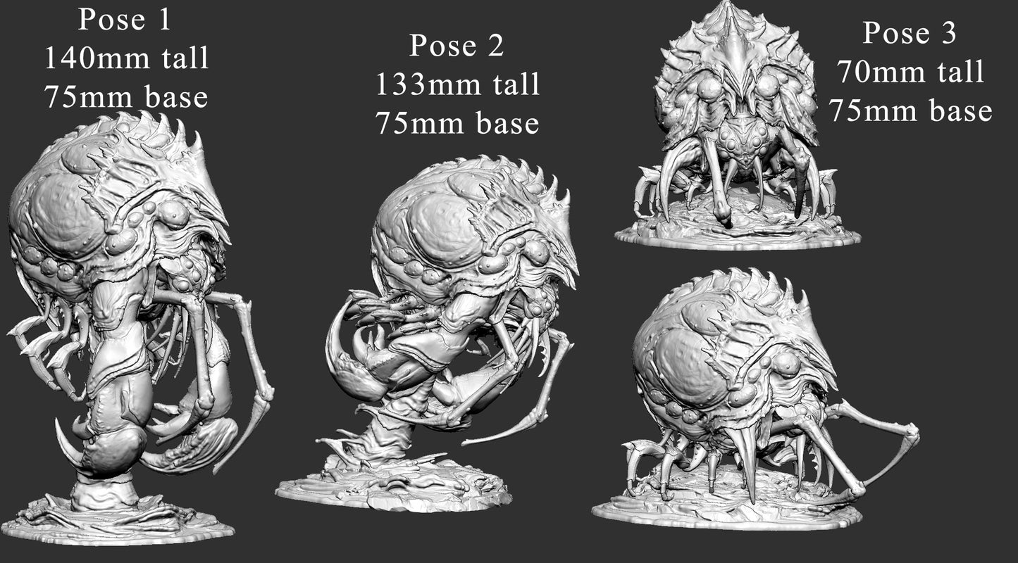 Pathoogen Zero