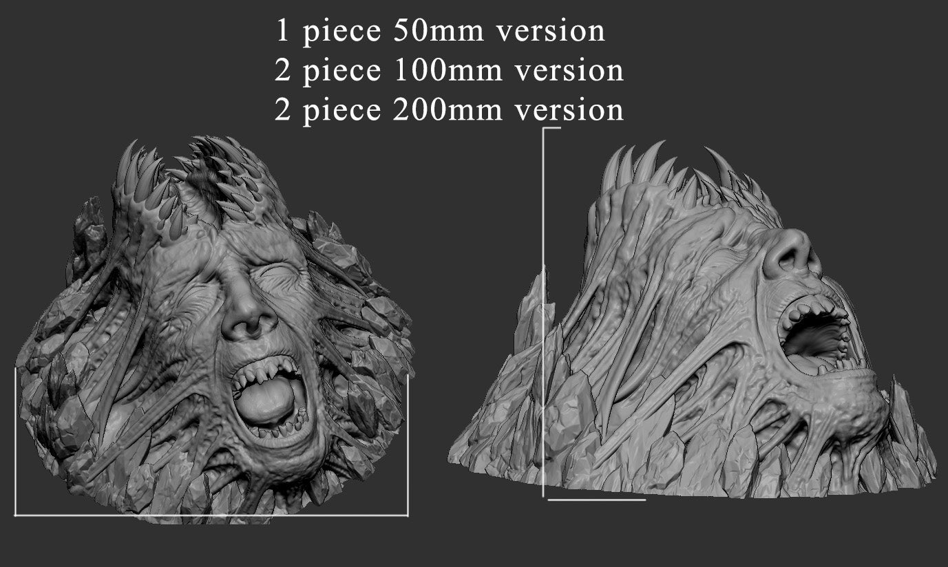 Bound Visage