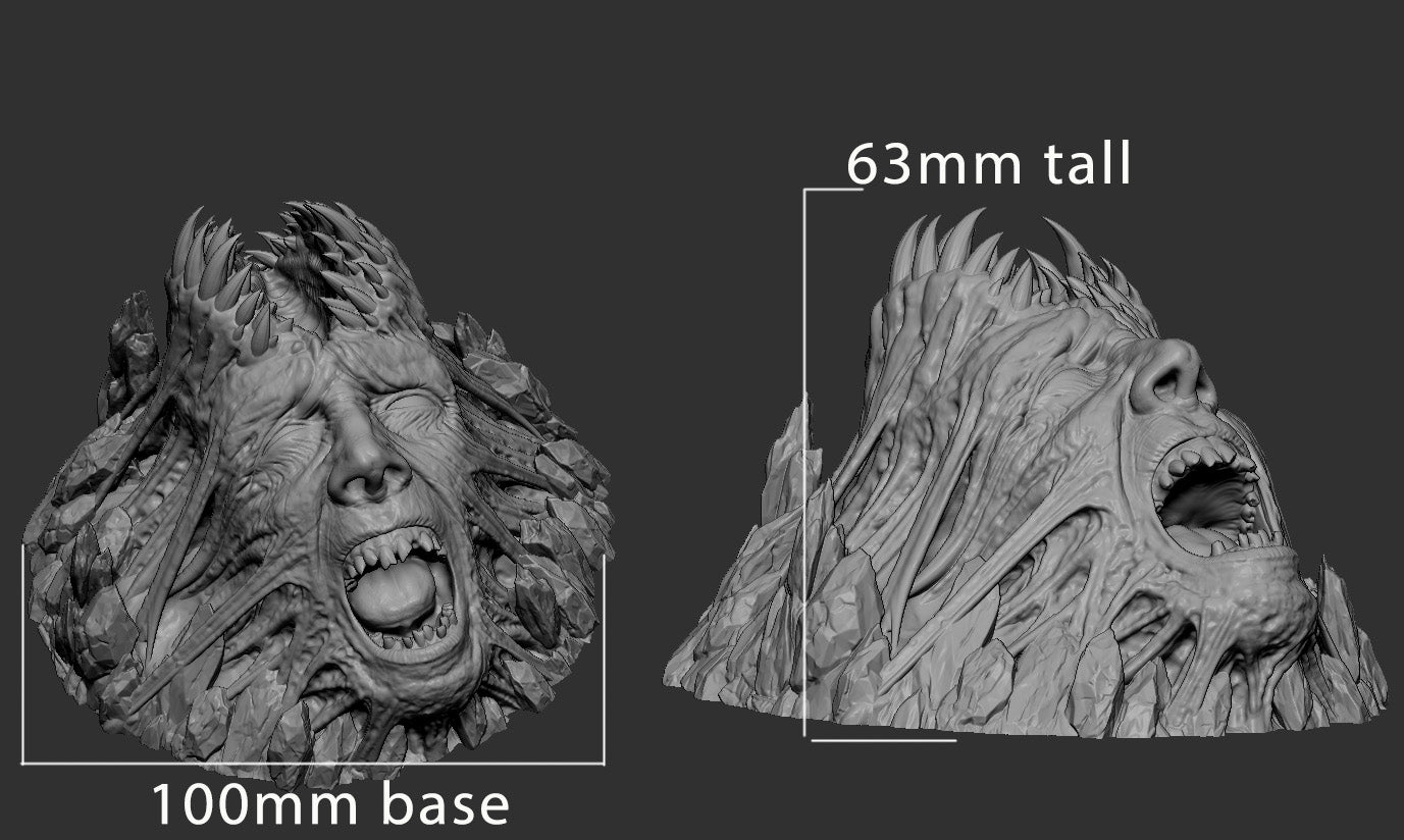 Bound Visage