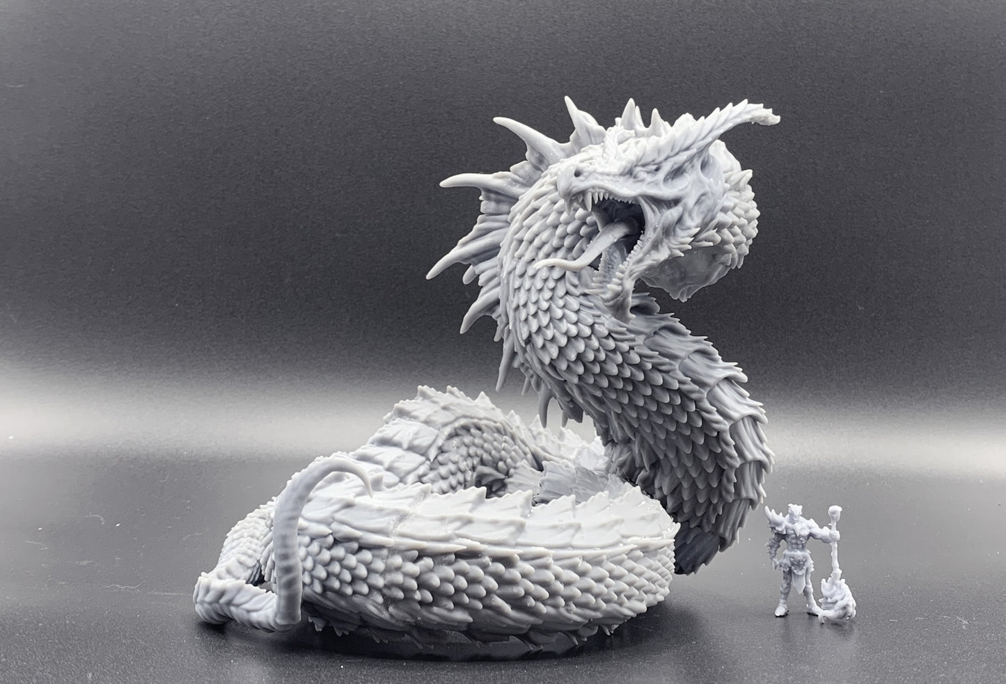 Wyrm