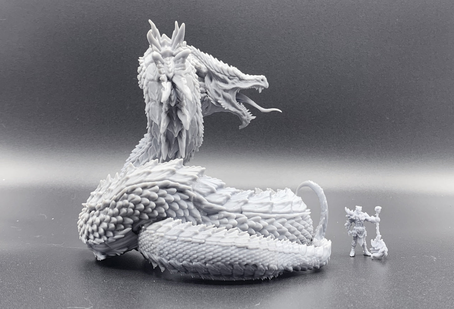 Wyrm