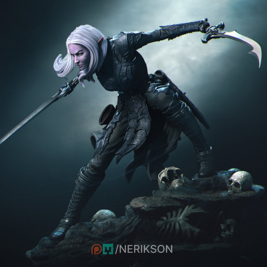 Lierin the Drow Fighter