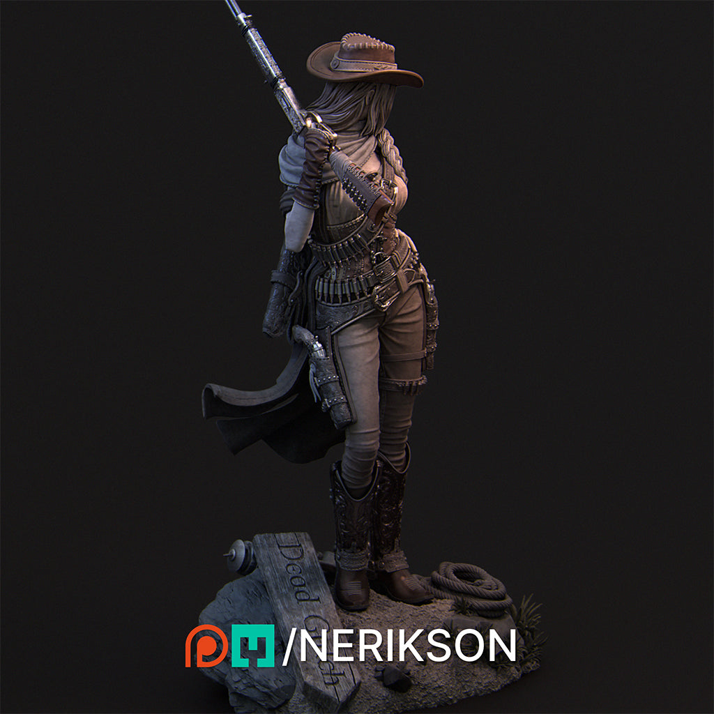 Jane the Gunslinger