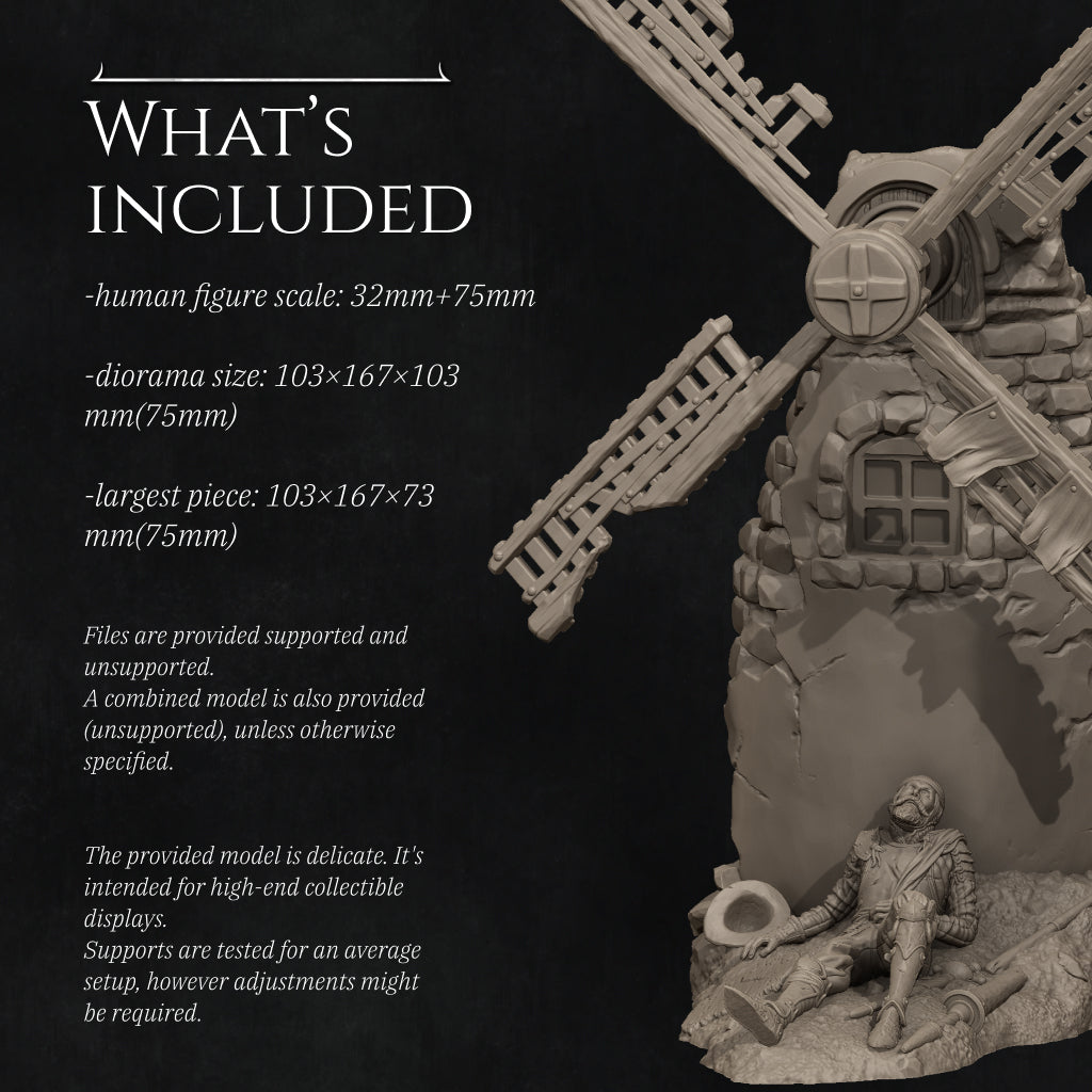 Don Quixote: The Tragedy of Dreams