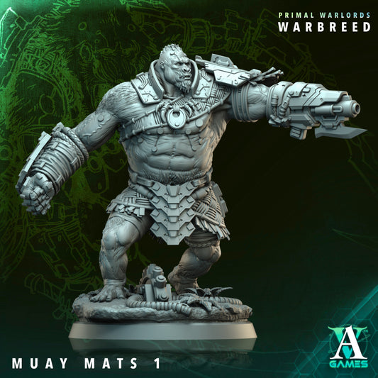 Muay Mats