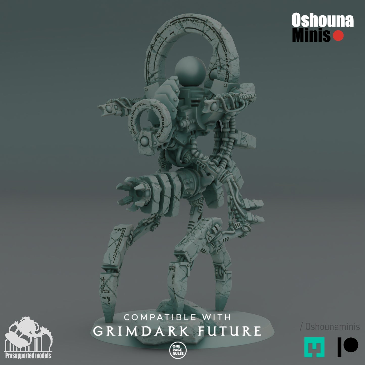 Primordial Walker