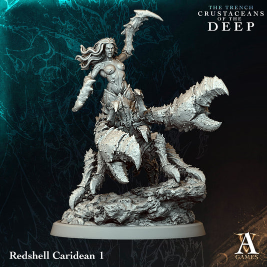 Redshell Caridean